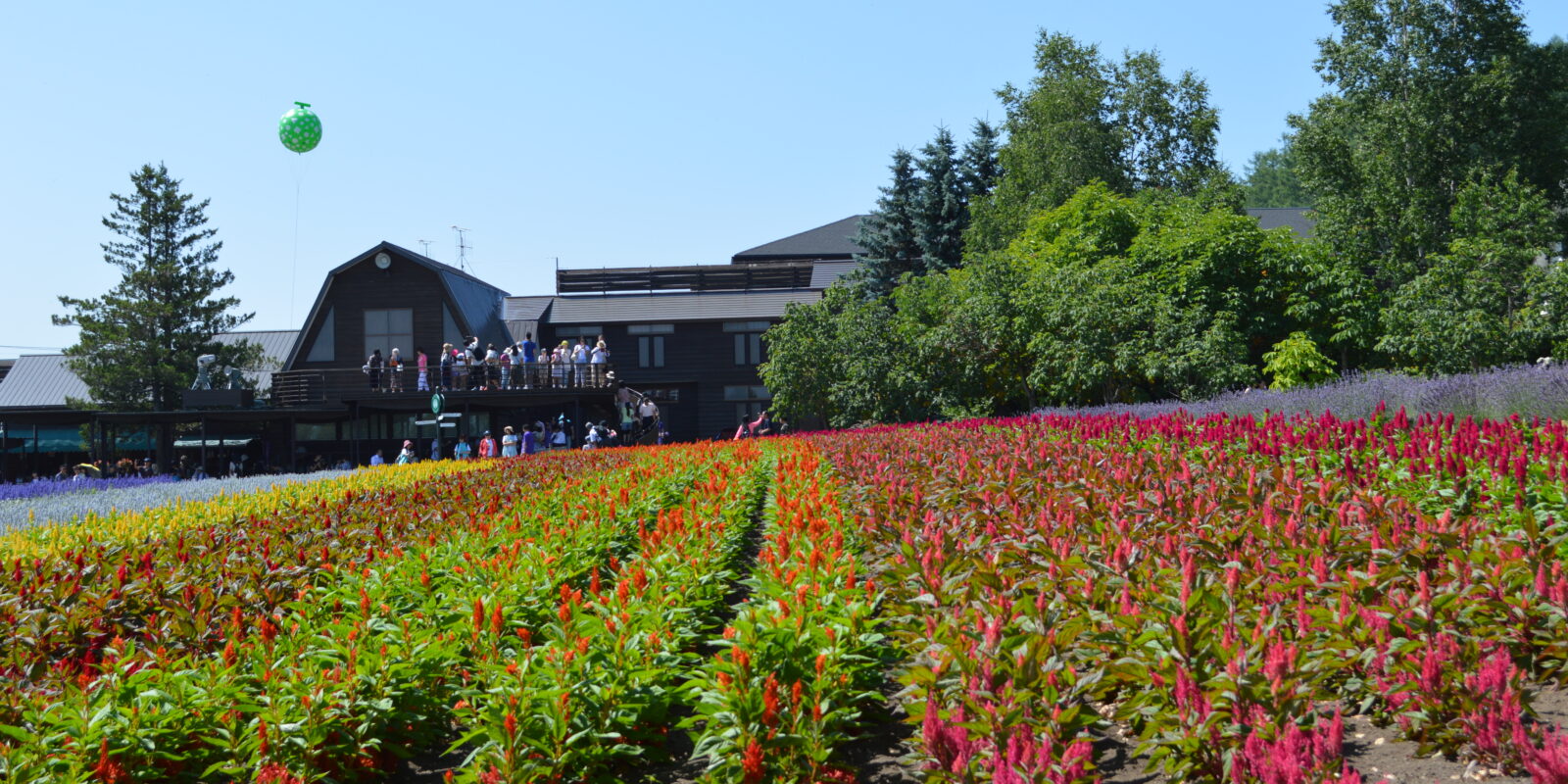 所得 その他 - 岡篤志税理士事務所